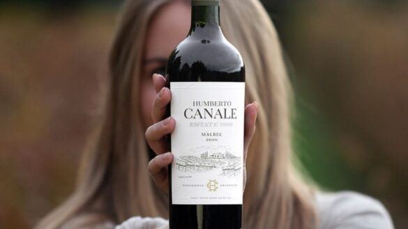 Vinhos da Patagônia, Argentina