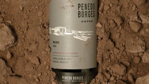 penedo borges empresa B