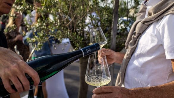 mitos sobre vinhos que você precisa saber