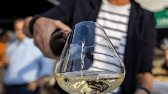 Dicas para começar a jornada do vinho