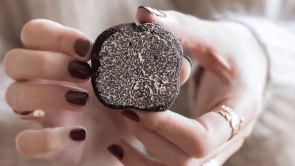 Il tartufo
